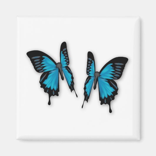 Een paar tropische blauwe vlinders magneet (Voorkant)