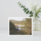 een paard briefkaart (Staand voorkant)