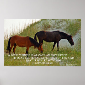 een paard ervaren poster