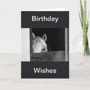 Een paard in de Stables Birthday Wishes Card Kaart