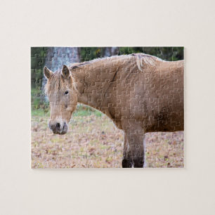 Een paard is een paard, natuurlijk - 8 x 10 inch legpuzzel
