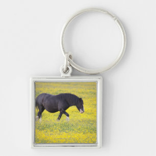 Een paard loopt op een gebied van gele bloemen sleutelhanger
