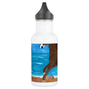 een paard op het strand waterfles