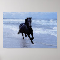 Een paard vrij en vrij