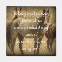 Een paardenmens