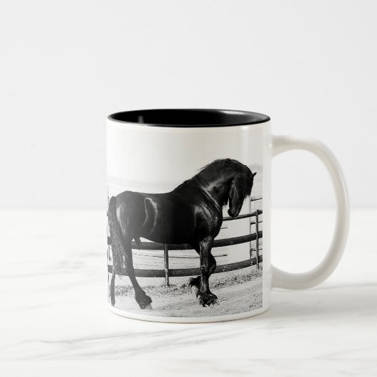 Een paardennederigheid tweekleurige koffiemok (Rechts)