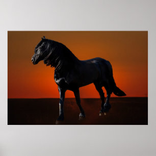 Een paardenzonnebrande poster