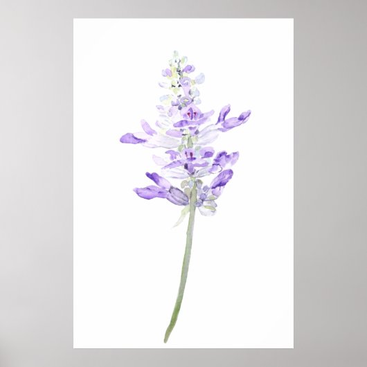 één paarse waterverf van de fernleaflavendel poster (Voorkant)