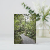 Een pad door een regenwoud aan de basis van briefkaart (Staand voorkant)