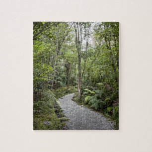 Een pad door een regenwoud aan de basis van legpuzzel