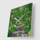 Een pad in het groene bos vierkante klok (Hoek)