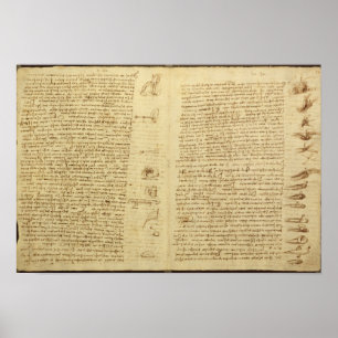 Een pagina van de Codex Leicester, 1508-12 Poster
