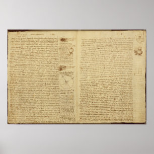 Een pagina van de Codex Leicester, 1508-12 Poster
