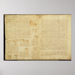 Een pagina van de Codex Leicester, 1508-12 Poster