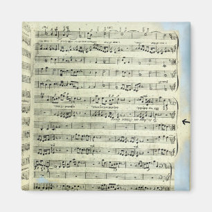 Een pagina van één van de enige twee exemplaren magneet