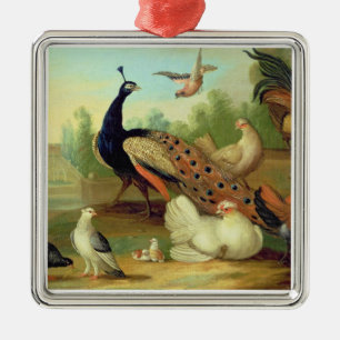 Een pakje, Doves, Kippen en een pakje in een Park Metalen Ornament