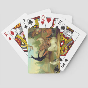 Een pakje, Doves, Kippen en een pakje in een Park Pokerkaarten