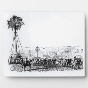 Een palmboom die naar het Hyde Park wordt vervoerd Fotoplaat