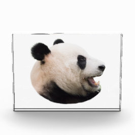 Een panda-beer uitsnijden fotoblokken