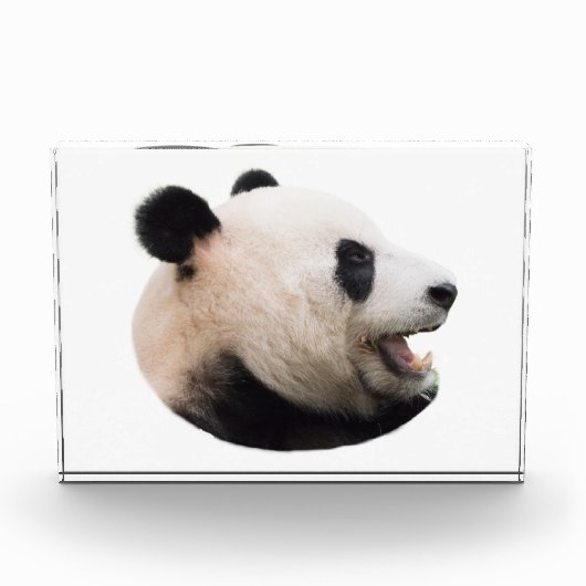 Een panda-beer uitsnijden fotoblokken (Voorkant)
