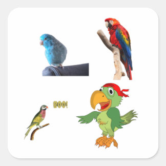 een papegaai vierkante sticker
