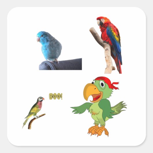 een papegaai vierkante sticker (Voorkant)