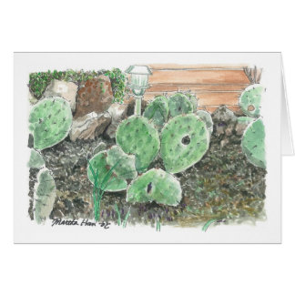 Een particuliere cactus tuin
