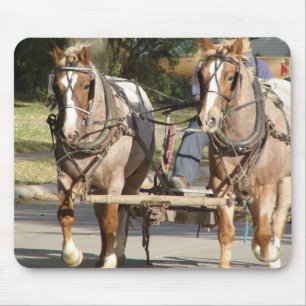 Een passend team van paarden muismat