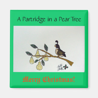 Een patrijs in een perenboom. magneet