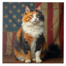 Een patriottische kat