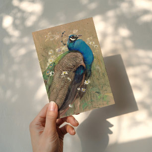 Een pauw en Marguerites   Edwin John Alexander Kaart