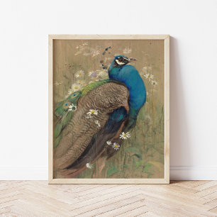 Een pauw en Marguerites   Edwin John Alexander Poster