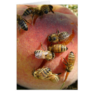 Een peach voor de bijen
