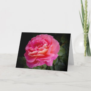 Een perfecte roze roos, leeg Wenskaart Kaart