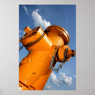 Een perspectief voor honden poster