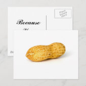 Eén pinda op witte achtergrond briefkaart (Voorkant / Achterkant)