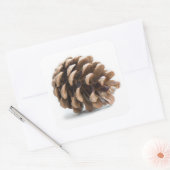 Eén pinecon vierkante sticker (Envelop)