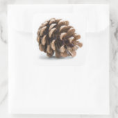 Eén pinecon vierkante sticker (Tas)