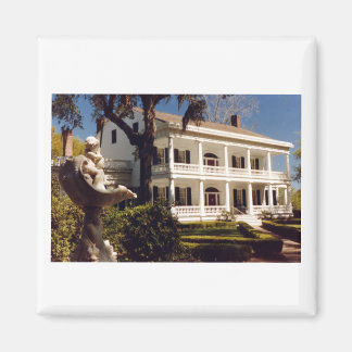 een plant op de Mississippi Magneet