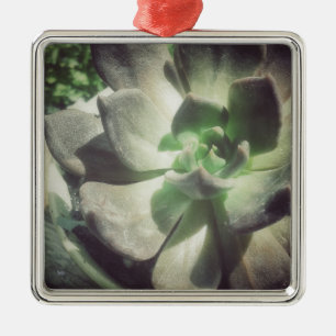 Een Plant voor zwarte en groene kippen Metalen Ornament
