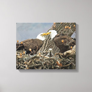 Een portret van de familie Bald Eagle Canvas Afdruk