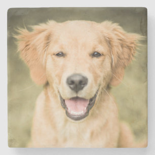 Een portret van een Golden Retriever puppy Stenen Onderzetter