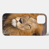 Een portret van een Leeuw die in de verte kijkt Case-Mate iPhone Case (Achterkant (horizontaal))