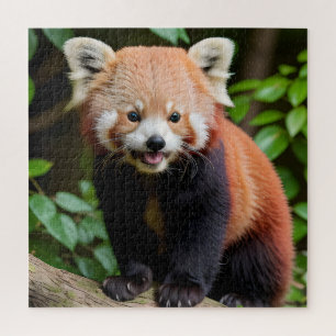 Een portret van een Schattigee rode panda Legpuzzel