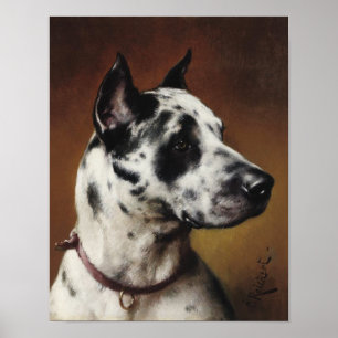 Een poster van Great dane