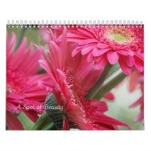 Een pot Beauty Calendar