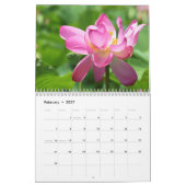 Een pot Beauty Calendar Kalender (Feb 2027)