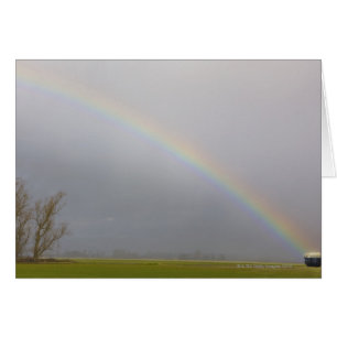 Een pot goudputten aan het uiteinde van de regenbo