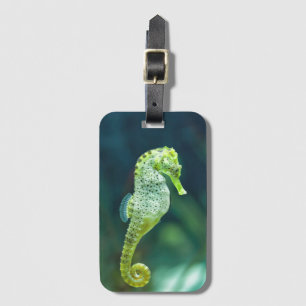 Een prachtig Knysna Seahorse Bagagelabel