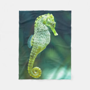 Een prachtig Knysna Seahorse Fleece Deken